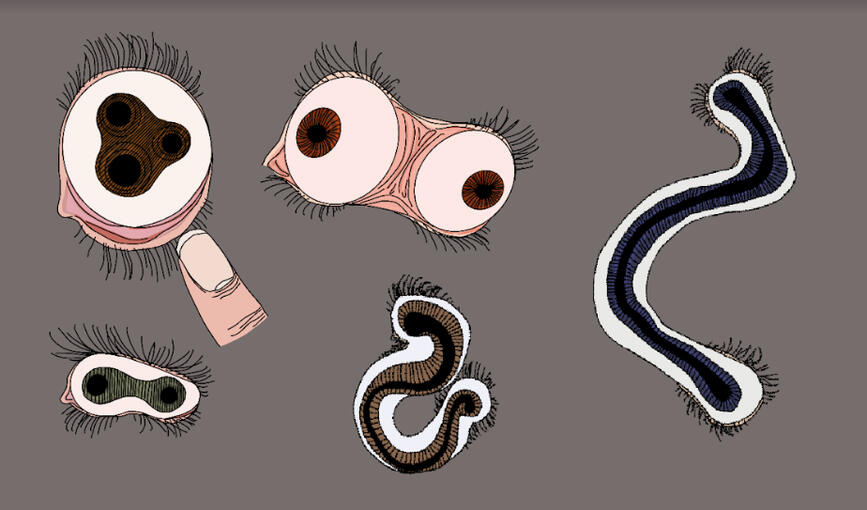 Eye Drawings
